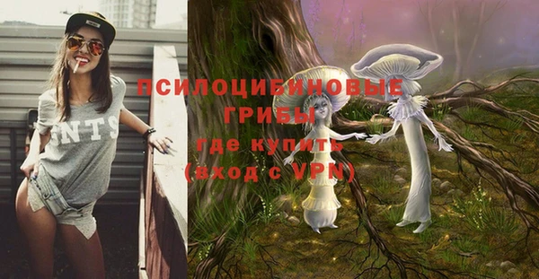 а пвп мука Алзамай