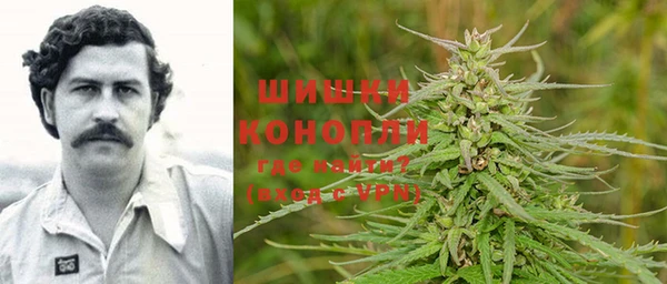 гашик Зеленокумск