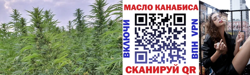 как найти Дыгулыбгей ТГК концентрат